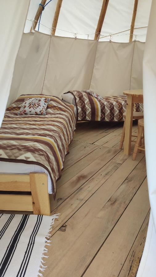 Glamping Wild Nature Baltow Eksteriør bilde